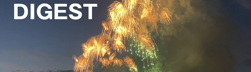 2025_edogawa_hanabi